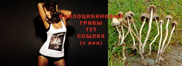 jwh Зерноград